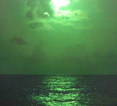 parcial_verde (1).jpg