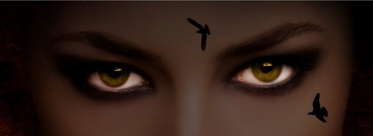 dfw-am-dom-cover-proof2-4